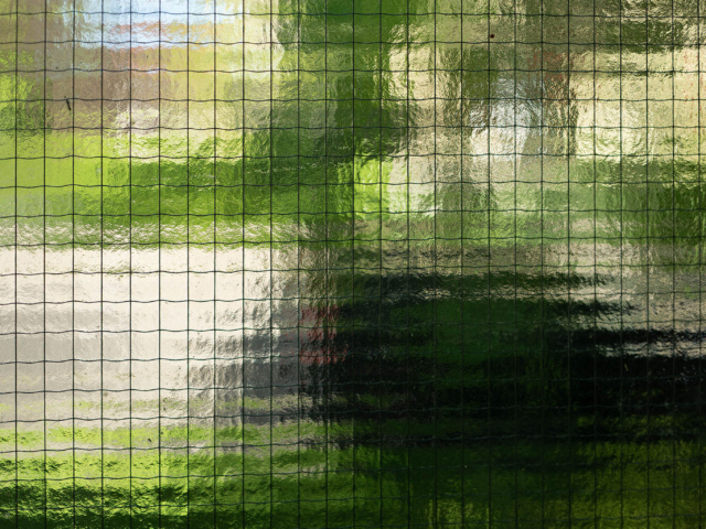 Detail - 1. Platz PeterV