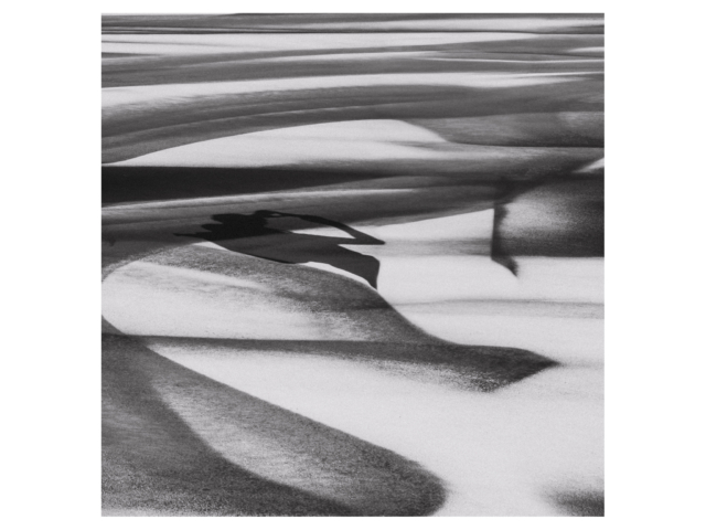 Vom Mitglied bearbeitet Vom Mitglied bearbeitet